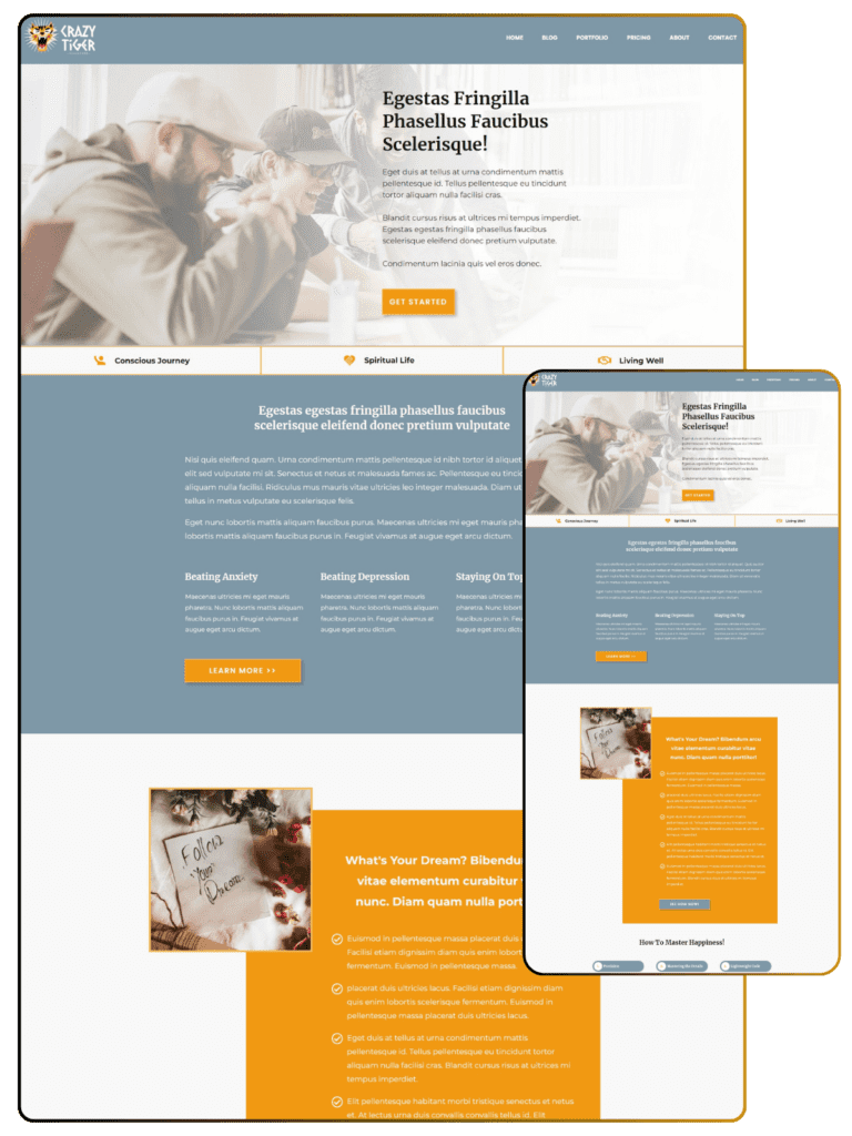 Crazy Tiger Homepage optimized