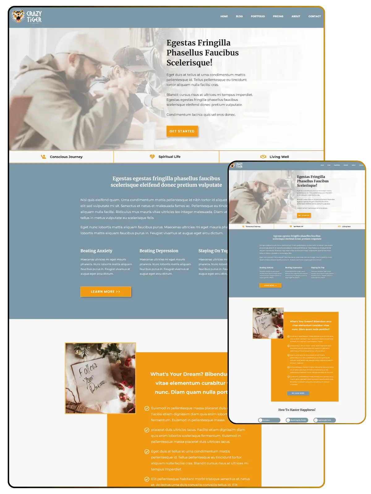 Crazy Tiger Homepage optimized