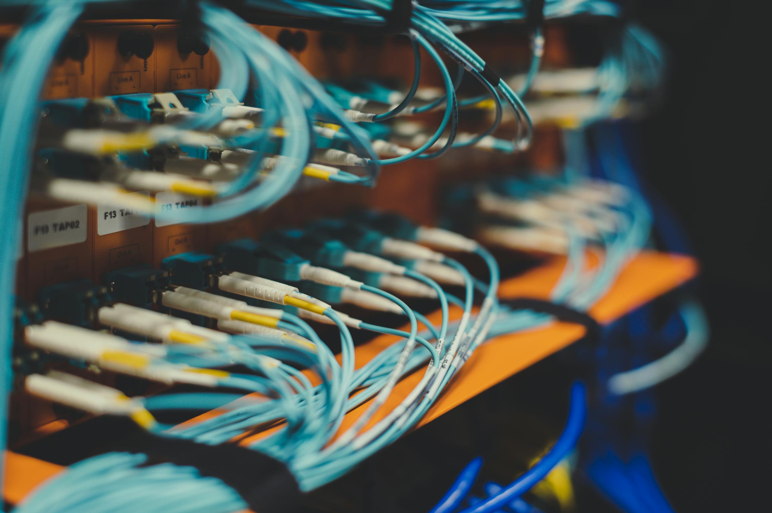 Choosing Your Web Server Software Closeup of many cables with blue wires plugged in modern switch with similar adapters on blurred background in modern studio