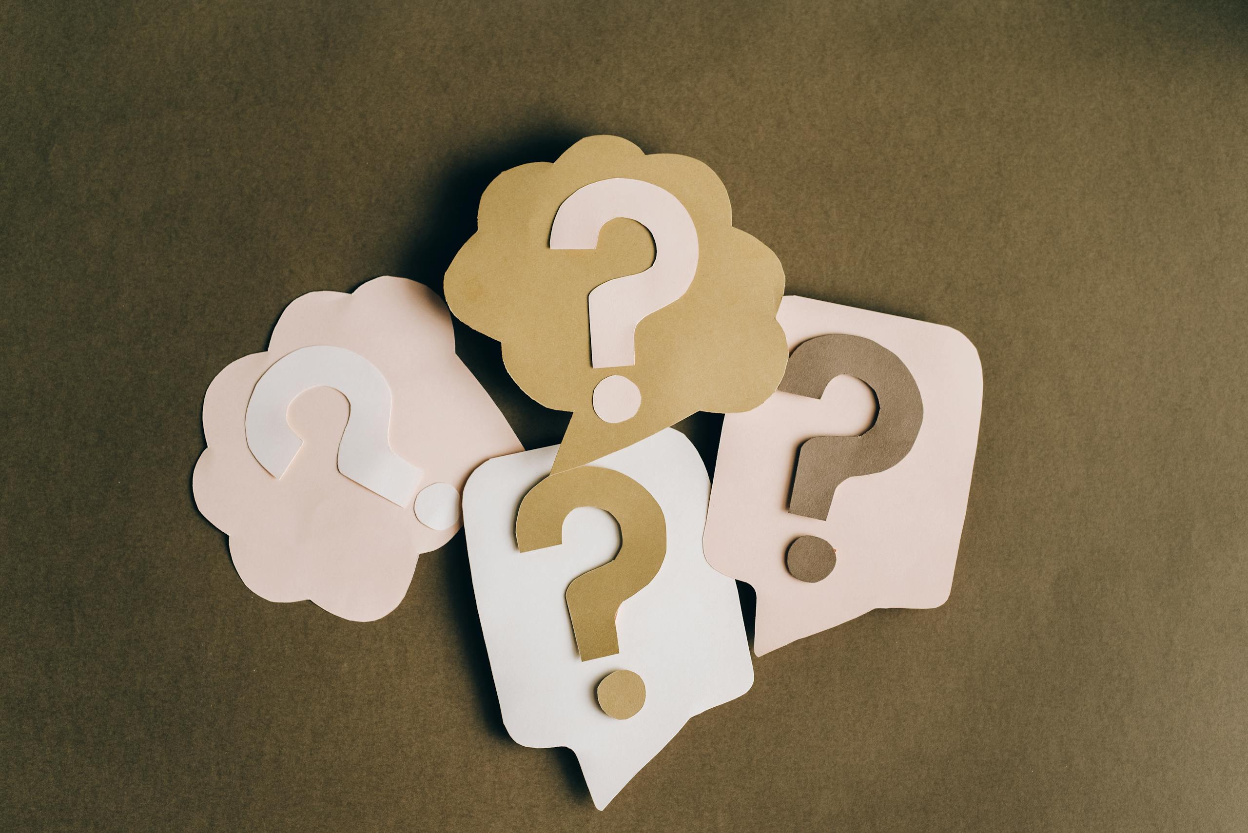 Best Domain Name Provider Four paper cutouts of question marks regarding making choices about how to choose a domain name