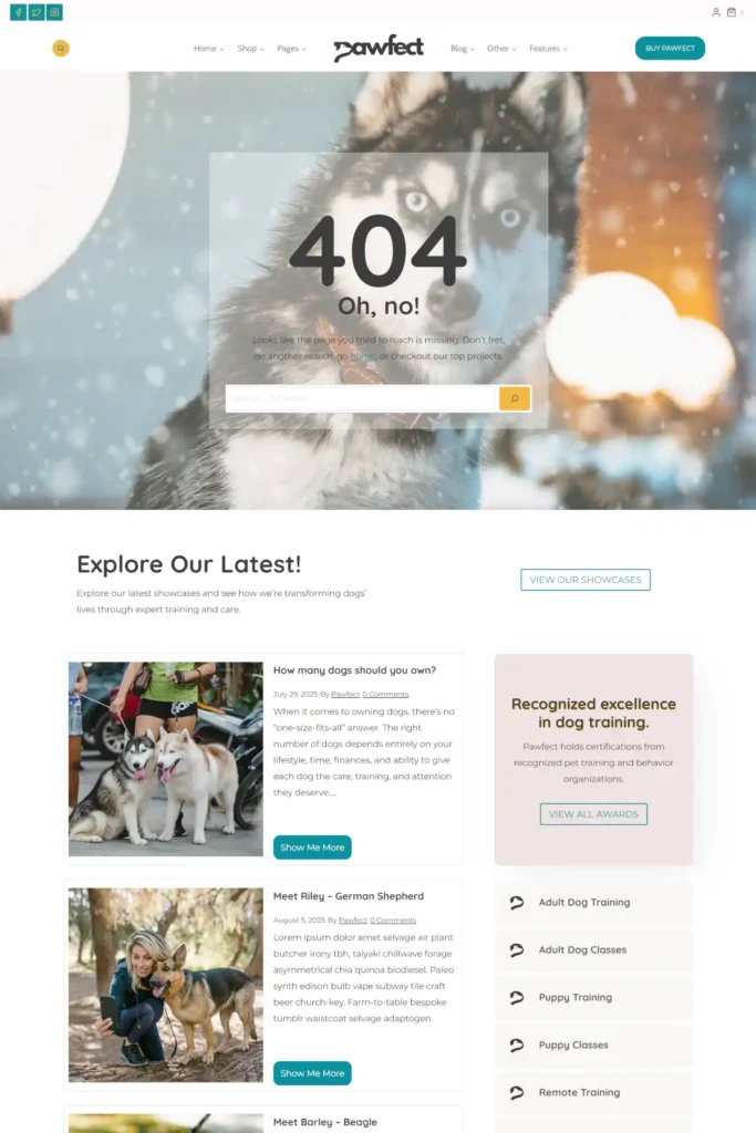 404 pro Pawfect Gallery 16