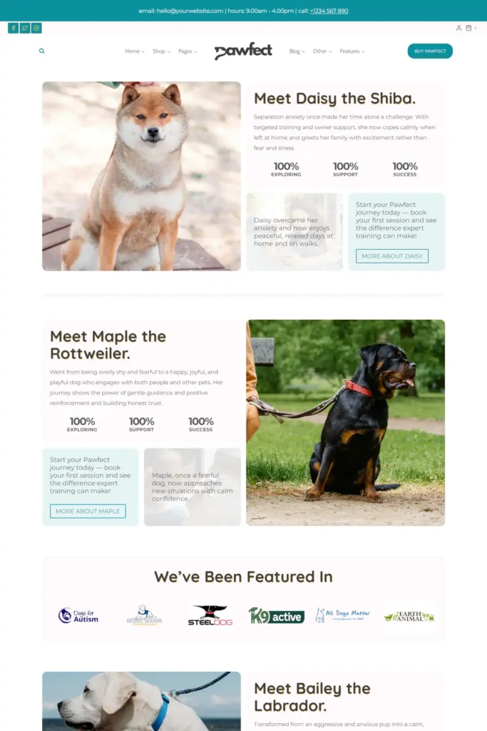 Case Studies Pawfect Gallery 4