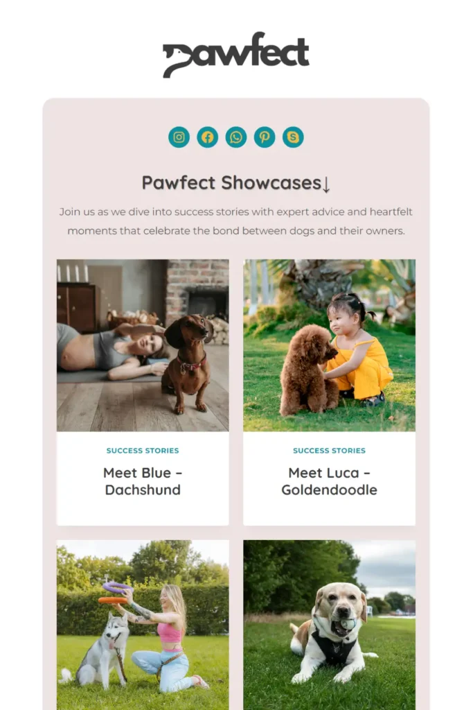 Social Landing Page Pawfect Gallery 15